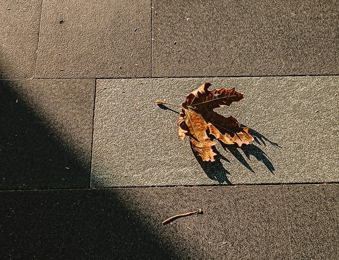 Sonbaharda Kıbrıs'ın Cazibesi: Old Stone Lefkoşa Butik Otel Deneyimi